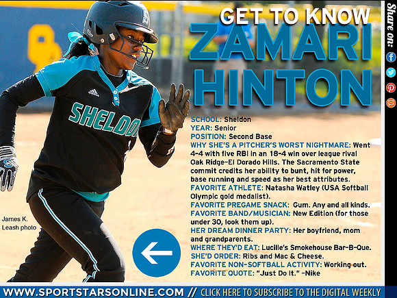 Sheldon Huskies Softball