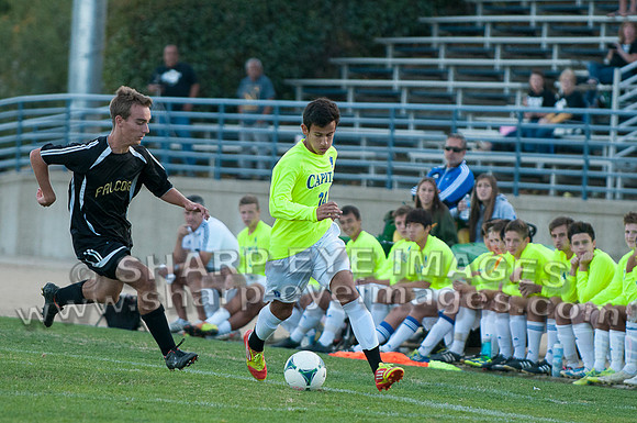 _DSC1993