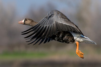 _DSC6051_web