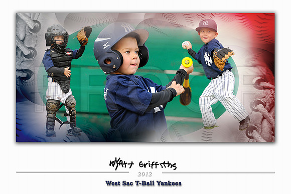 WGriffithsSigSeries_12x18BaseballH2