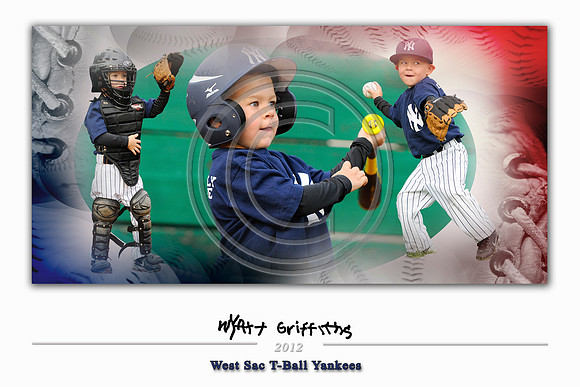 WGriffithsSigSeries_12x18BaseballH2