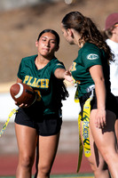 _DSC3967
