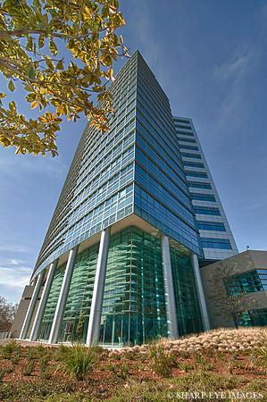 _DSC9012_HDR_zen