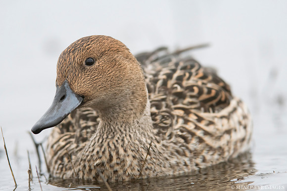 _DSC4160_web
