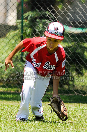_DSC1674