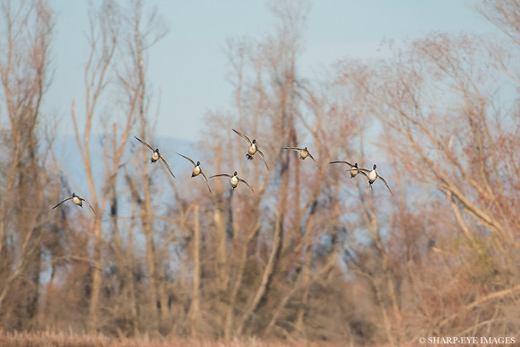 _DSC0625_web