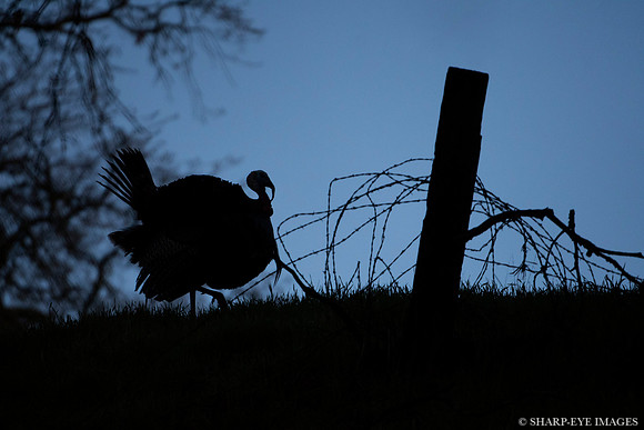 _DSC0119_web