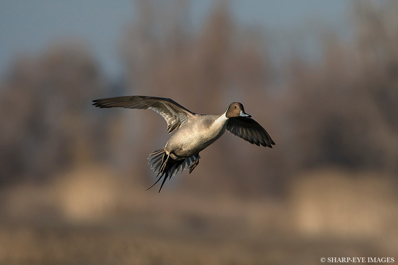_DSC5589_web