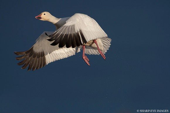 _DSC0038_web