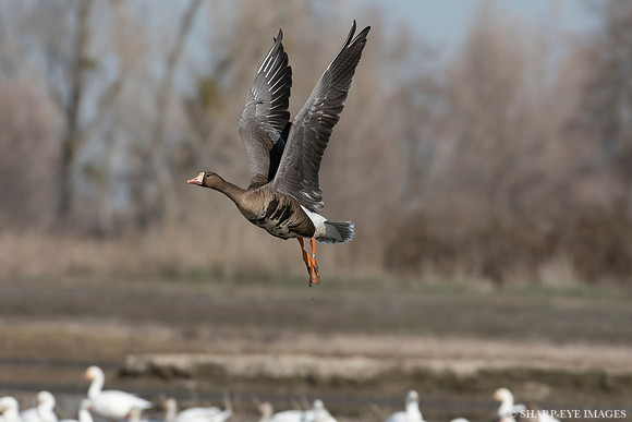 _DSC5096_web