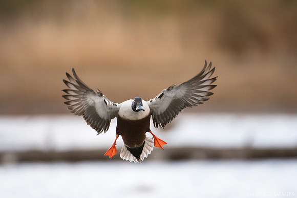 _DSC3897_web
