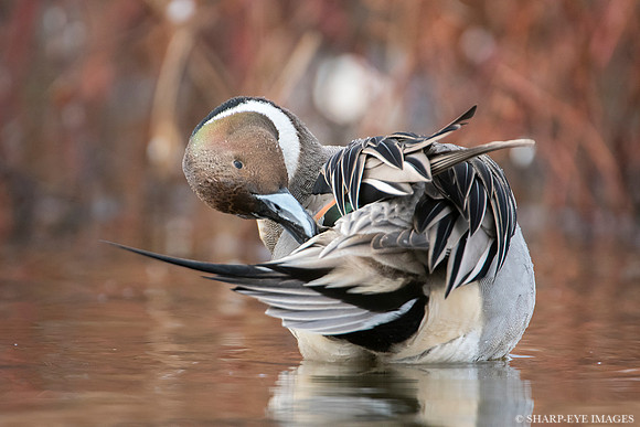 _DSC5605_web