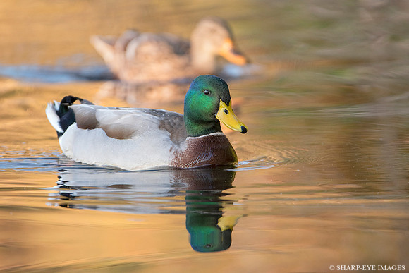 _DSC0581_web