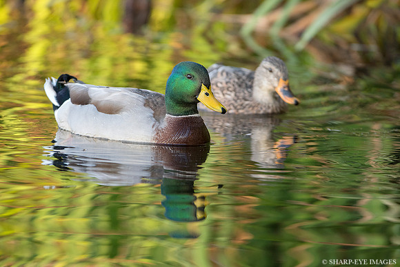 _DSC0585_web