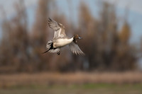 _DSC0008_web