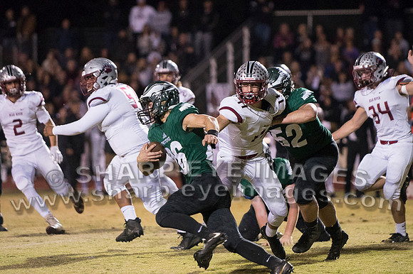 _DSC4002