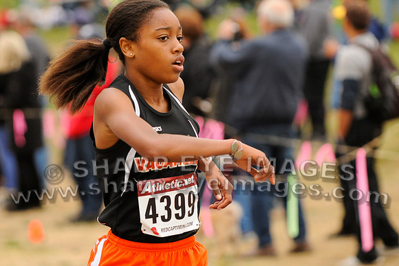 _DSC8526