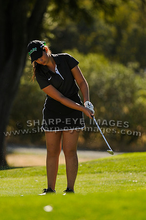 _DSC9293