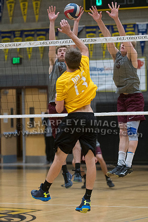 _DSC8172