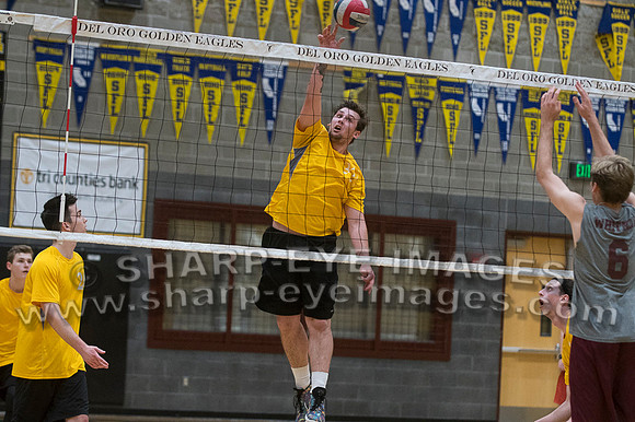 _DSC8897