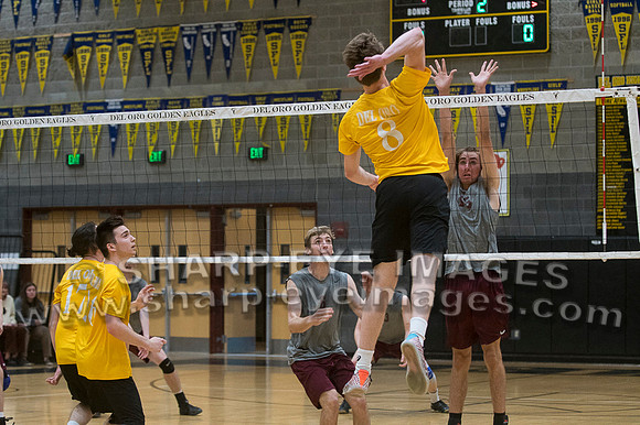 _DSC8102
