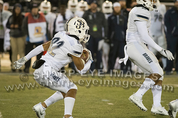 _DSC3877