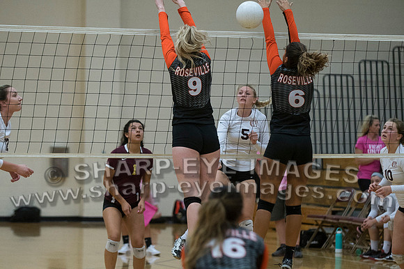 _DSC0959