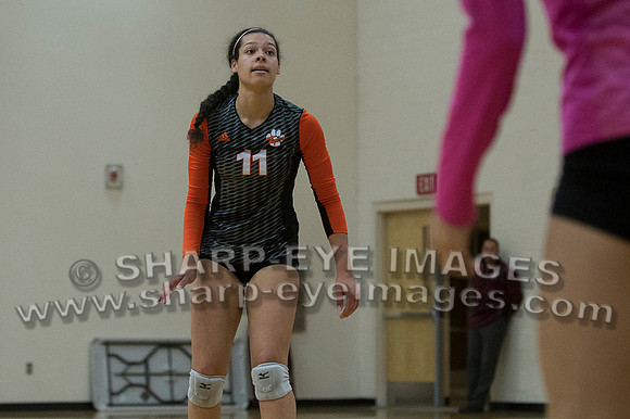 _DSC0188