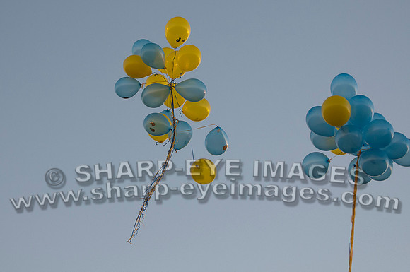 _DSC1320