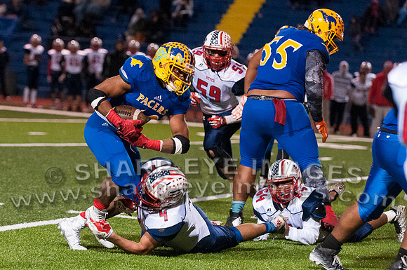 _DSC1919