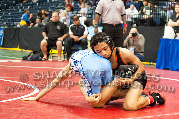 _DSC3424