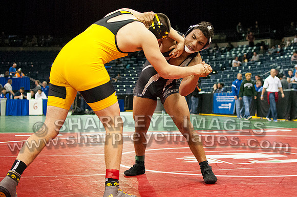 _DSC4007