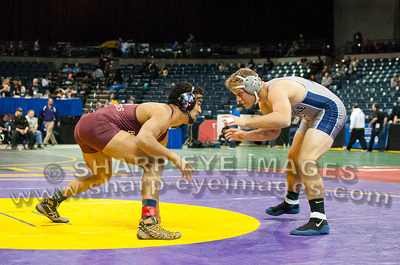 _DSC3987