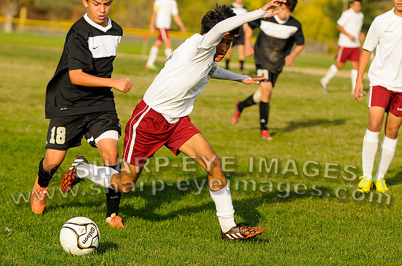 _DSC0554