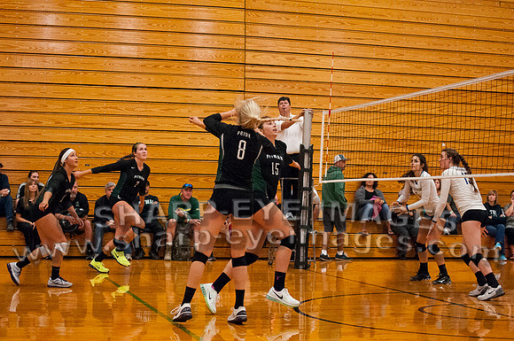 _DSC2140