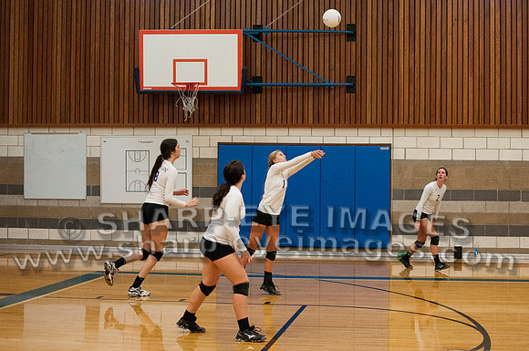 _DSC8508