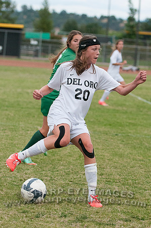 _DSC0995