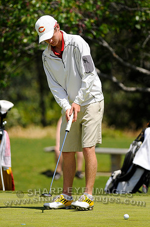 _DSC7955