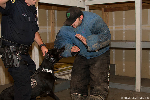 _DSC3414