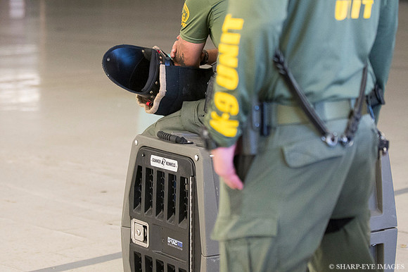 _DSC3872