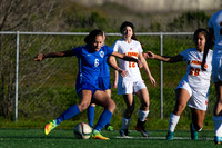 _DSC0456