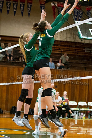 _DSC1239