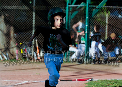 _DSC8253