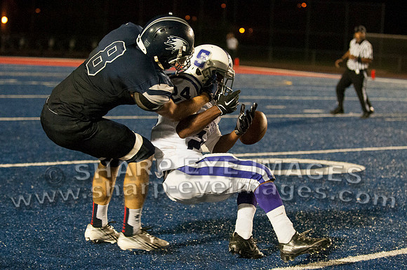 _DSC3163