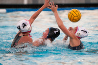 SJS D1 GIRLS WATER POLO FINALS ST. FRANCIS VS DAVIS 11/14/15