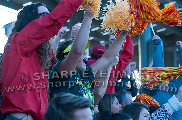 _DSC0097