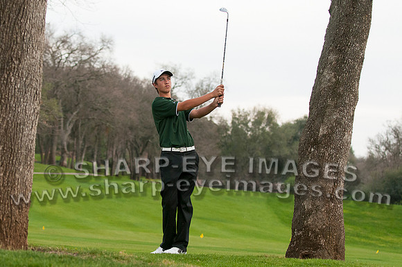 _DSC3336