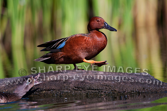 _DSC0539_web