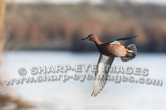 _DSC0284_web