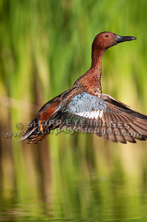 _DSC0502_web